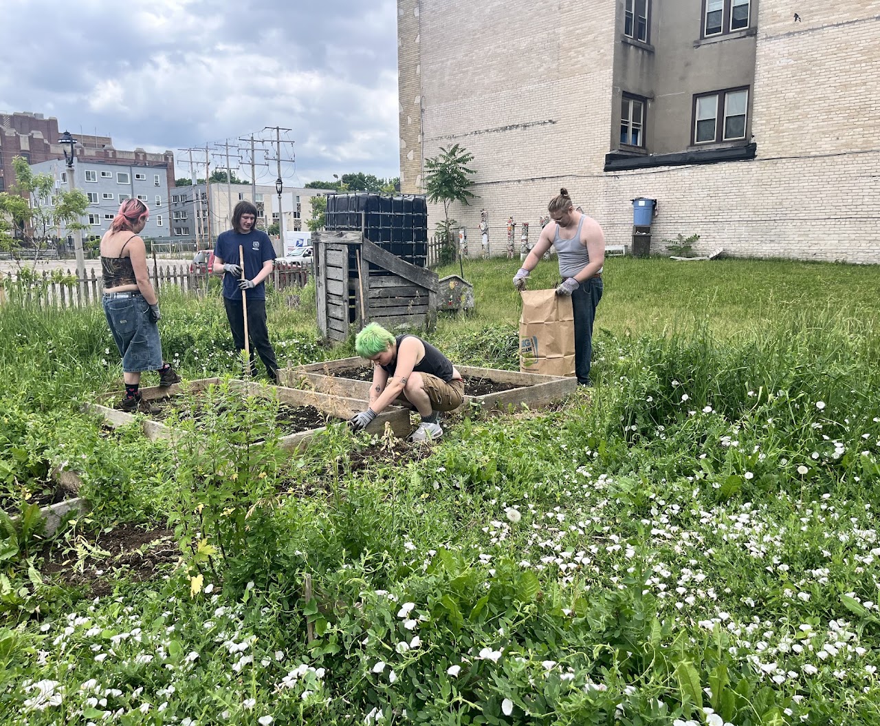 Food Not Bombs volunteers clearing overgrown Garden Park beds during the June 10 YAGI workday